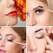 Set of 3 Eyebrow Brushes for Brow Powders, Waxes, Gels - Spoolie and Angled Eye Brow Brush Set (Multi-colored) - Buy Online on GoSupps.com