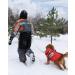 E-SMARTER S Dog Coats Waterproof and Windproof Dog Jacket Reflective Strip Design Dog Coats Waterproof with Harness Warm Dog Puffer Jacket Suitable for Most Medium-sized Dogs Small - Buy Online on GoSupps.com