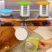 Muluo 5 PC Food Can Lids + 3 Pet Can Covers + 2 Spoons Set - Fits Standard Size Dog and Cat Cans - Orange, Blue, Red - Buy Online on GoSupps.com