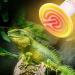 Dernord E27 Heat Lamp - 75W Ceramic Heating Emitter for Reptiles Terrariums & Chicks - Outdoor Heating Spotlight - Ideal for Turtles & More - Buy Online on GoSupps.com