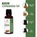 Cinnamon Oil -(Cinnamomum Cassia)- Essential Oil 100% Pure Natural Undiluted Uncut Therapeutic Grade Oil 3.38 FL.OZ 3.38 Fl Oz (Pack of 1) - Buy Online on GoSupps.com