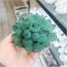 Crystal Cluster 300-1000g Natural Green Ghost Phantom Quartz Crystal Cluster Specimen ningxiao (Size : 600-700g) - Buy Online on GoSupps.com