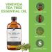 16 Oz Bulk Tea Tree Essential Oil - 100% Pure & Undiluted in Glass Bottle - 1 Pound for DIY Soaps, Candles, Blends - VINEVIDA - Buy Online on GoSupps.com