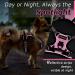 Eagloo Adjustable Dog Harness for Small Dogs - Anti-Train Reflective Strips Durable Pink XS for Walking & Jogging (1 Pack) - Buy Online on GoSupps.com