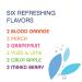 Phocus Caffeinated Sparkling Water Variety Pack - Clean Energy Drink with Caffeine and L-Theanine - 0 Sugar, Calories, or Carbs - Non GMO, Whole 30, Keto, Vegan, Kosher - 11.5 Fl Oz (12 Pack) - Buy Online on GoSupps.com