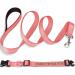 Personalized Reflective Dog Collar & Leash Set - Tagme 1.5m Double-Sided Leash for Large Dogs - Babyrosa (1 Pack) - Buy Online on GoSupps.com