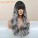 Buy Honybia Gray Ombre Wig - Long Synthetic Heat-Resistant Ponytail for Women | Perfect for Costumes & Parties - Buy Online on GoSupps.com