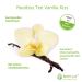 Rooibos Vanilla Tea - Velvety Sweet Rooibos with Real Vanilla | Rooibos Vanilla Kiss for International Shipping - Buy Online on GoSupps.com