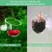 Vueinrg 8-Piece Aquarium Plant Pot Set - Decorative Glass Cups with Suction Cups for Shrimp Landscape Decor - Buy Online on GoSupps.com