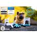 Buy L wenk nig Taurus 2.0 High-Quality Pet Brush Gloves for Cats & Dogs - Extra Long Soft Knobs & Accessories in Pink - Ideal for Short & Long-Haired Pets - Buy Online on GoSupps.com