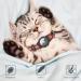 JiaraRui Reflective AirTag Cat Neck Band - Adjustable GPS Collar for Cats & Puppies | Red 9-13 inch - Buy Online on GoSupps.com