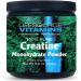 LifeSource Vitamins Creatine Monohydrate Powder - 100% Pure - 250 Grams - 50 Servings - Muscle Building - Buy Online on GoSupps.com