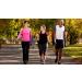 Posture Support Large - Improve Your Comfort & Alignment | International Shipping Available - Buy Online on GoSupps.com