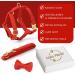 Premium H-Shaped Dog Harness with Multi-Position Leash & Velvet Loop - Ideal for Small Medium & Large Dogs (Red M) | Durable & Comfortable - Buy Online on GoSupps.com