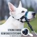 Goodboy Dog Halter with Service Birth - Padded No-Pull Leash Harness for All Dog Sizes (Size 1 Blue) - Durable Nylon & Comfortable Fit - Buy Online on GoSupps.com