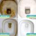 Pumice Toilet Bowl Cleaner with Handle - Remove Hard Water Rings & Calcium Buildup | 9.88oz (280g) - Effective Bathroom Cleaning Solution - Buy Online on GoSupps.com