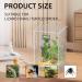 Optimized Giznzg Terrarium for Reptiles - Acrylic Feeding Box with Digital Thermometer & Hygrometer for Spider Snail Frog Lizard Turtle (25x15x15cm) - Best Reptile Breeding Habitat - Buy Online on GoSupps.com