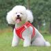Buy Heele Small Soft Dog Dishes & Air Mesh Adjustable Harness - Safe Control for Walking Running Training - Reflective Red XS - Buy Online on GoSupps.com