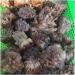 Decorative Crystal Natural Rough red Quartz Crystal Gemstone Cluster Reiki Crystal Stone Specimen Home Decor Crystal - Buy Online on GoSupps.com