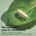 Cholesterol Pi Life Levure de Riz Rouge avec Berberis aristata Fenugrec Policosanol Coenzyme Q10 et Thiamine 2 G lules/Jour Compl ments base de plantes Lactose & Gluten Free 180 G lules 1 unit (Lot de 120) - Buy Online on GoSupps.com