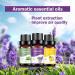 EFH Essential Oils Set 6 Natural Fragrance Oils for Diffusers & Candles | Lavender Lemon Peppermint Sweet Orange & Sakura 10ML Each - Buy Online on GoSupps.com