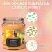 TRINIDa Orange & Vanilla Scented Odor Eliminating Candles Gift Set for Women - Natural Soy, Premium Fragrance - Eliminates 99% of Pet Smoke & Other Odors Quickly - Buy Online on GoSupps.com