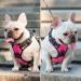 PoyPet No Pull Dog Harness | Adjustable Reflective Vest for Small to Large Dogs | Easy Control Handle | Medium Pink - Buy Online on GoSupps.com