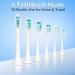 BESTEK Electric Toothbrush - Powerful Rechargeable Toothbrush with Multiple Modes Smart Timer & 6 Replacement Brush Heads - International Shipping Available - Buy Online on GoSupps.com