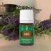 Young Living Hinoki Essential Oil 5 ml | Calming Aroma for Diffusing & Meditation | Refreshing Ambiance for Work & Study | Perfect Post-Workout Massage Oil - Buy Online on GoSupps.com