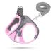 Dog harness Small dogs puppy tableware cat dishes Dogs dishes bright with leash curli dog harness dishes dog puppies (pink XS) XS pink