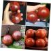 Gleavi Solid Wood Massage Balls - 2 Piece Foot & Muscle Stress Relief Exercise Device | 5.5cm Baoding Balls for Ultimate Relaxation - Buy Online on GoSupps.com