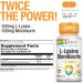 Solaray L-Lysine Monolaurin 1:1 Ratio - 60 Vegetarian Capsules for Immune Support - Buy Online on GoSupps.com