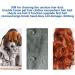 Effective Animal Hair Remover for Couch & Carpet | Lint Roller Tool for Dog & Cat Fur - Multi-Surface Foot Roller | Aznever Green - Buy Online on GoSupps.com