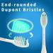5 Pack Snow White Toothbrush Replacement Heads for Philips One Sonicare HY1100 and HY1200 - Buy Online on GoSupps.com