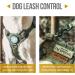 OneTigris Fire Watcher 2.0 Molle Dog Harness with Handle & Metal Buckle - L Green | International Shipping Available - Buy Online on GoSupps.com