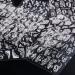 DIY Manicure Lace French Winter Sliders 5D Acrylic Nail Stickers Wedding Design White(STZ-5D13) - Buy Online on GoSupps.com