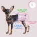 PET Soft Dog Diapers for Bitches | 20 Disposable Diapers for Dogs & Cats | High-Suction Cat Diapers - Buy Online on GoSupps.com