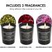 Valentine's Day Luxury Scented Candles Set - Aromatherapy Soy Wax for Relaxation and Stress Relief - 6 Pack Candle Gifts for Women - Perfect for Mom, Friend, Wife - Black Jar - Buy Online on GoSupps.com