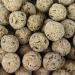 GardenersDream Suet Fat Balls | Premium Garden Wild Bird Food | Enhanced Year-Round Formula | Naturally Blended High in Energy & Protein-Rich Feed | Full of Nutritious Fat Fibre & Moisture (10 Pack) 10 count (Pack of 1) - Buy Online on GoSupps.com