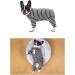 Buy Ruiqas Dog Surgery Suit for Male & Female Dogs - Breathable Prevents Licking XXL Dark Gray Stripes - Ideal Recovery Wear for Pets - Buy Online on GoSupps.com