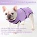 Convinite Recovery Suit for Dogs - Breathable Wound Protection after Castration | Alternative to Cone | Perfect for Male & Female Dogs - Purple - Buy Online on GoSupps.com