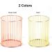 Coniya Metal Nail Pencil Holder - Elegant Makeup Organizer for Eyebrows Lipsticks and Nail Art | Gold Finish - Buy Online on GoSupps.com