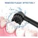 8 Pack Charcoal Brush Heads for Oral B Electric Toothbrush - Activated Charcoal Bristles - Black - Buy Online on GoSupps.com