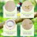 Budgies Nesting Box Transparent Design Bird Nest Nesting Box Wooden Parakeet Nesting Box Transparent Bird House for Cage Natural Wood Breeding Box for Parrots Lovebirds Budgies Finches - Buy Online on GoSupps.com