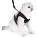 Janica Cat Dishes & Harness Sets | Leash Outbreak-Proof & No-Pull Unbreakable Cat Jewelry - Buy Online on GoSupps.com