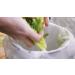 Earth's Natural Alternative 13 Gallon Compostable Kitchen Trash Bags - 30 Count - Buy Online on GoSupps.com