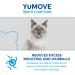YuMOVE Senior Cat | Joint Supplement for Older Stiff Cats with Glucosamine & Skin & Coat Care Moulting for All Cats |Previously YuDERM Moulting Cat | 50ml - Buy Online on GoSupps.com