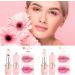 2Pcs Clear Crystal Flower Jelly Lipstick PH Magic Temperature Color Changing Lipstick Lip Gloss Long Wear Nutritious Tinted Lip Balm Moisturizing Lip Stick Makeup Set (Set B) - Buy Online on GoSupps.com