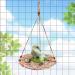 Dnoifne Reptile Hammock Swing Hanging Bed Cute Lizard Swing Toy Cotton Lizard Bed Reptile Summer Bed for Bearded Dragon Leopard Gecko Lizard Birds Parrots Rats (Colorful) - Buy Online on GoSupps.com