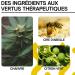 Baume L vres Chanvre - Stick Levres Hydratant l'Huile de Chanvre + Gout Citron - Soins pour les L vres Gerc es - Hydrate R pare et Apaise - Formule Ingr dients Naturels - Buy Online on GoSupps.com